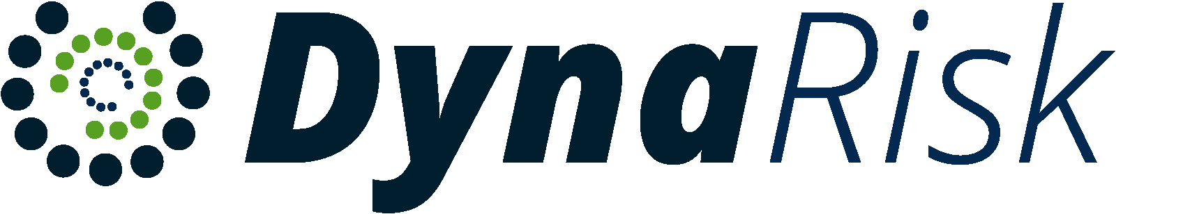 Dynarisk Logo
